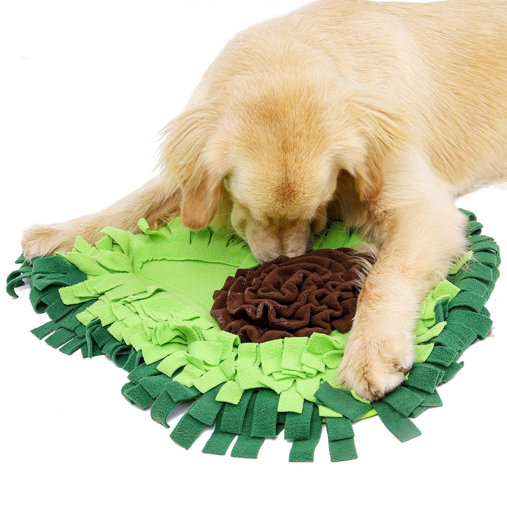 🥑🐶 Tappetino Olfattivo " Snuffle Mat" per Cani - Allena il Fiuto e Sconfiggi la Noia!