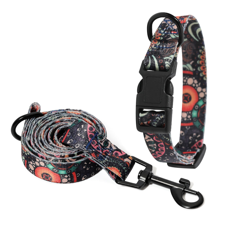 Set Collare e Guinzaglio con Fantasia Etnica: Stile Unico in Passeggiata! 🐕