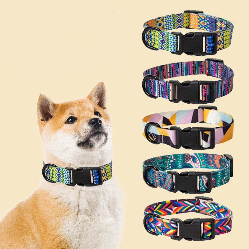 Set Collare e Guinzaglio con Fantasia Etnica: Stile Unico in Passeggiata! 🐕