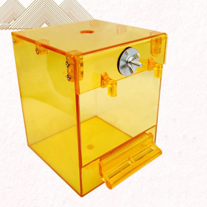 Bagnetto Esterno in Acrilico Premium: Spa Privata, Vista a 360° e Zero Stress 🦜✨