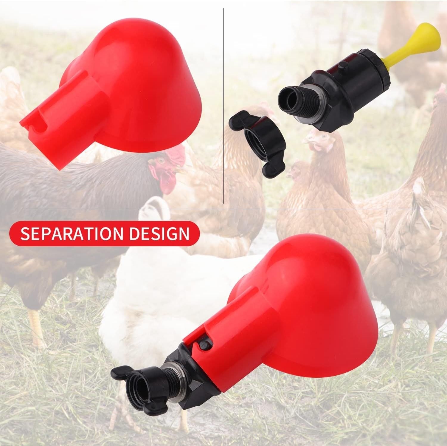 🐔 Abbeveratoio Automatico per Pollame: Acqua Fresca, Zero Sprechi! 🦆