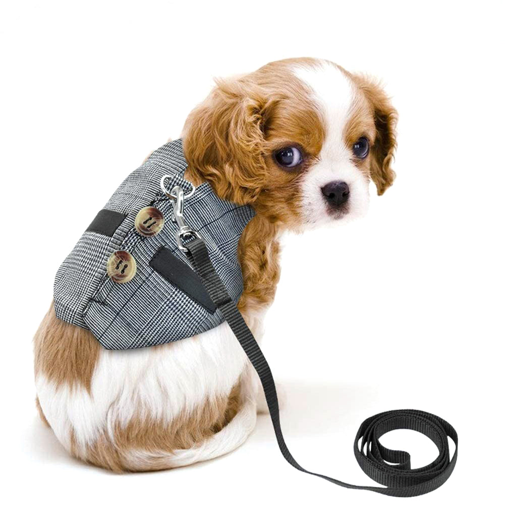 Pettorina Elegante a Gilet per Conigli: Passeggiate Sicure, Stile Unico e Zero Fughe 🐰🎩