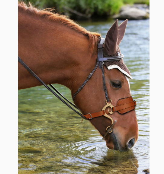 🐴🏆 Capezza da Addestramento in Vero Cuoio - Robustezza Tattica ed Eleganza Tradizionale