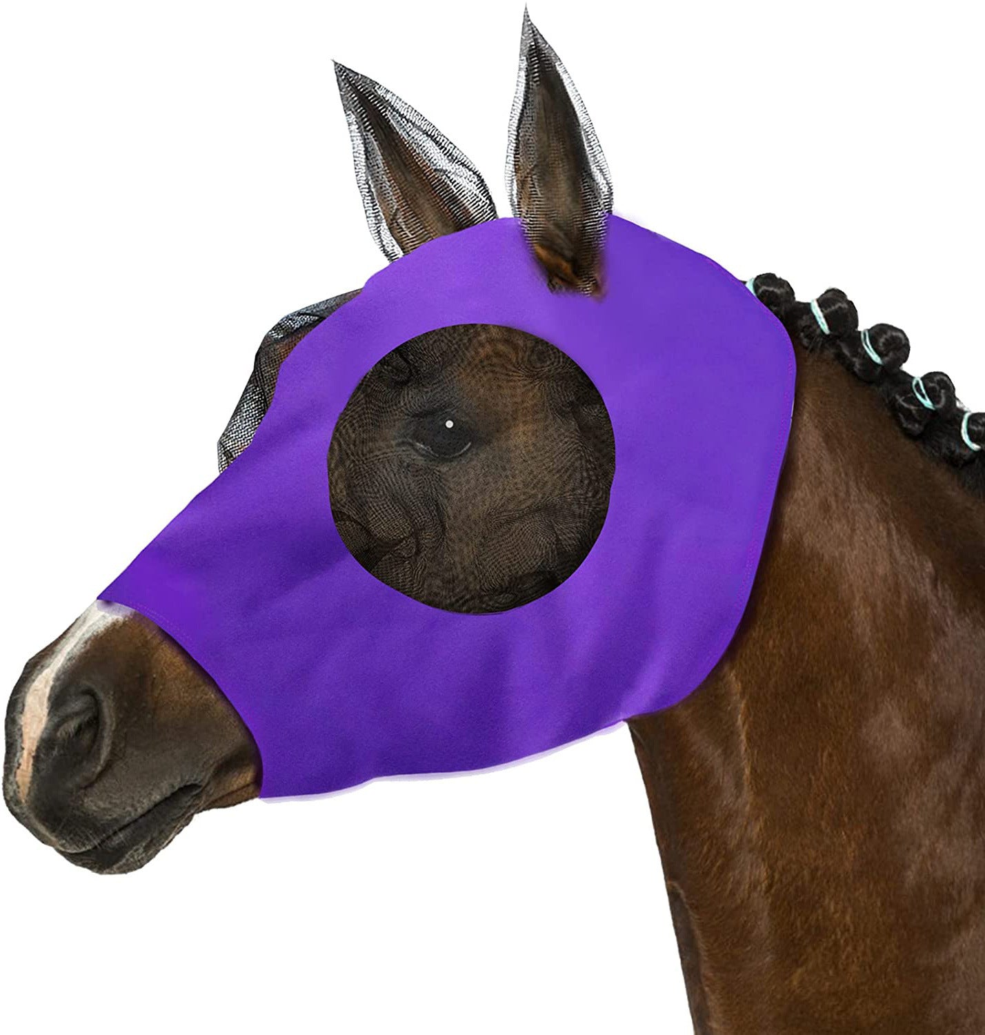 🐴🌬️ Maschera Protettiva Viso Cavallo - Scudo Totale Anti-Vento, Anti-Insetti e Anti-Polvere!
