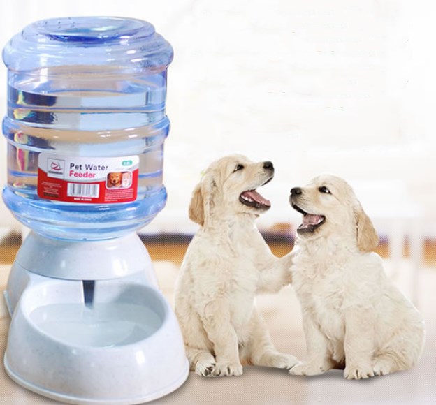 Dispenser Acqua e Cibo Automatico: Oasi di Freschezza! 💧🐾