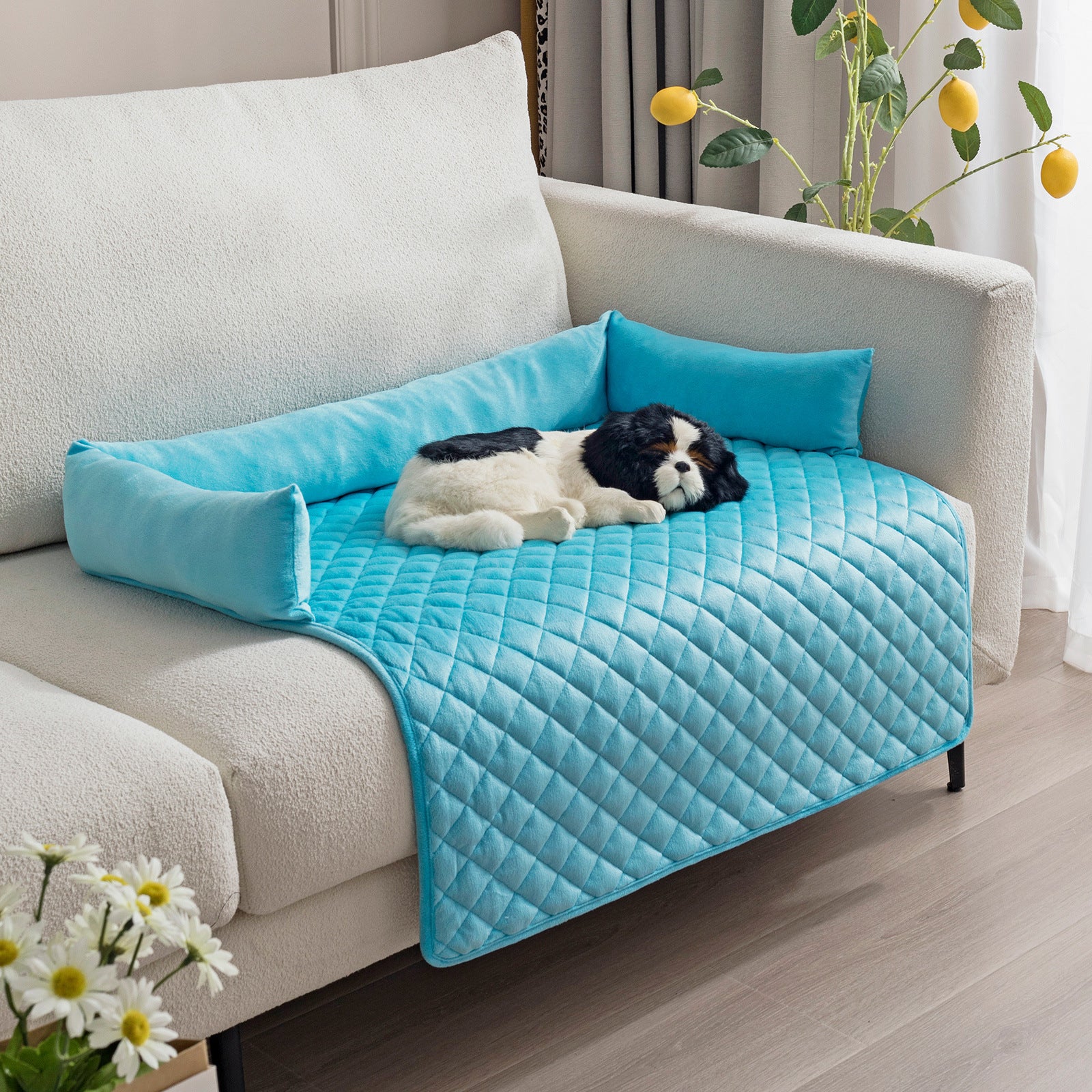 🛋️🛡️ Copri divano , Letto per Cani - Protezione Totale per Mobili e Comfort Extra!