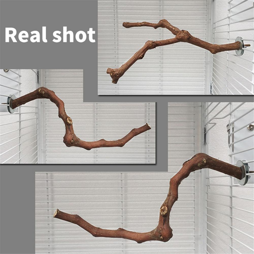 Trespolo in Legno Naturale per Pappagalli