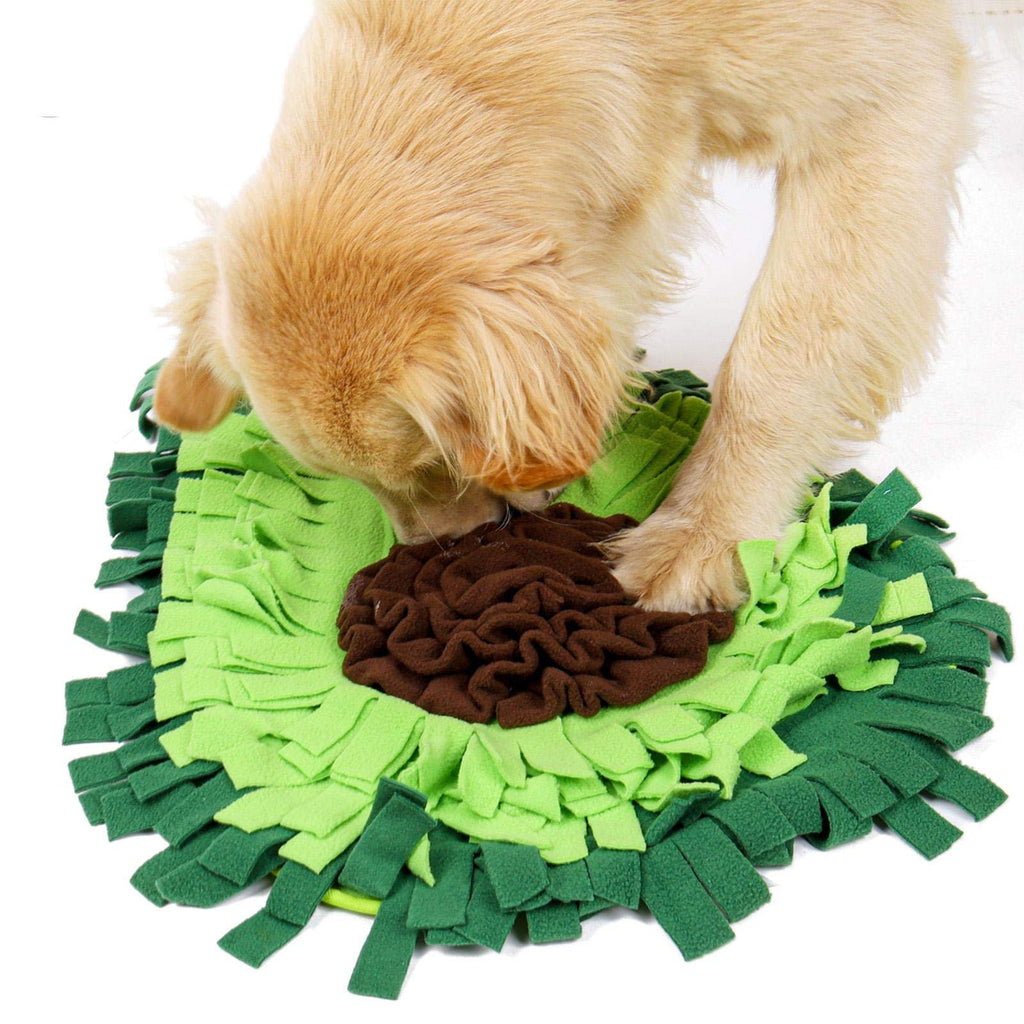 🥑🐶 Tappetino Olfattivo " Snuffle Mat" per Cani - Allena il Fiuto e Sconfiggi la Noia!