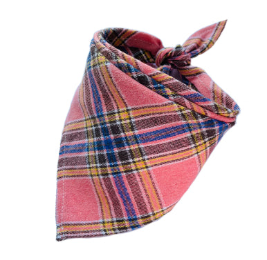 Bandana Tartan Scozzese: Stile Inconfondibile per il Tuo Pet