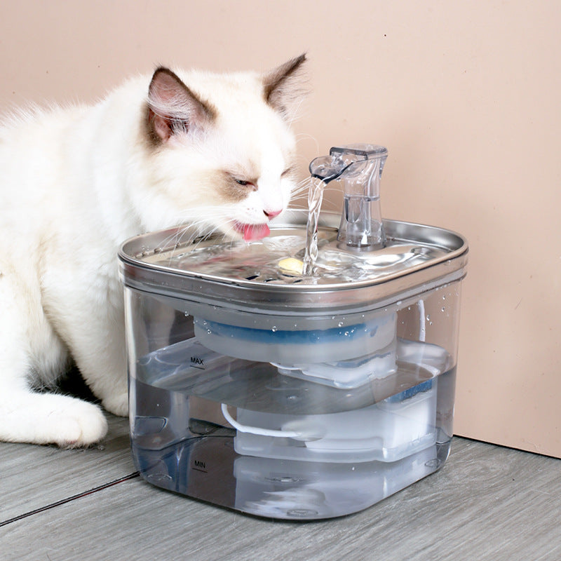 Fontana Automatica in Acciaio Inox: Acqua Sempre Fresca, Idratazione Sicura e Zero Batteri 💧🐈