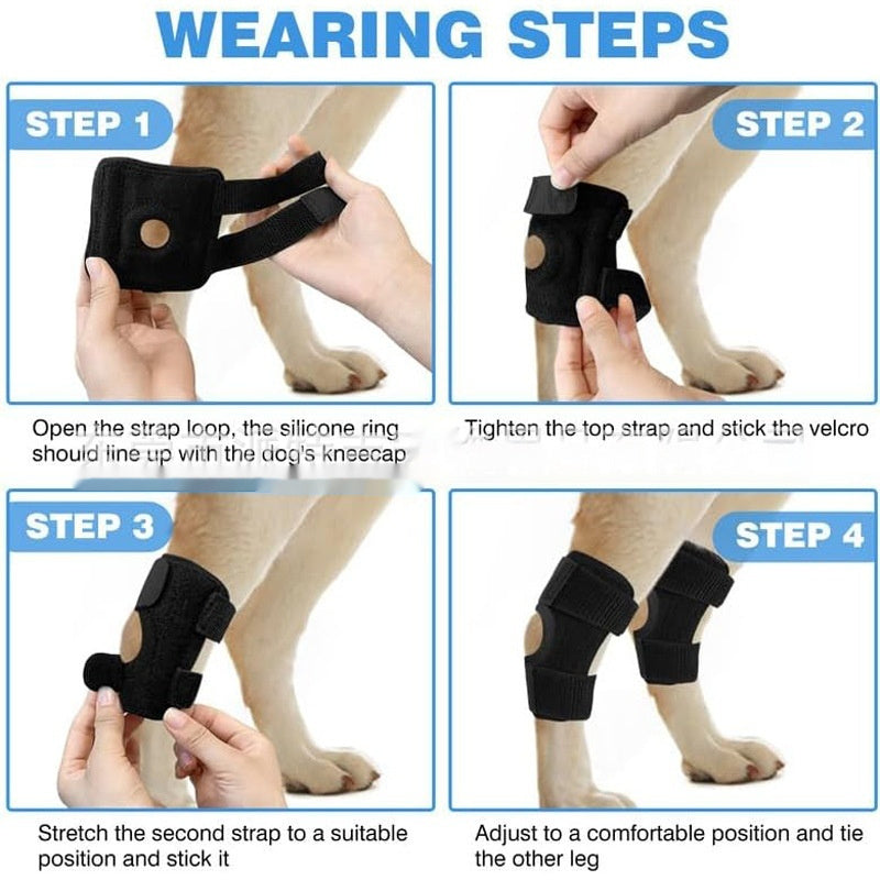 🐕🩹 Tutore Ortopedico per Ginocchio e Legamenti - Supporto Articolare Avanzato!