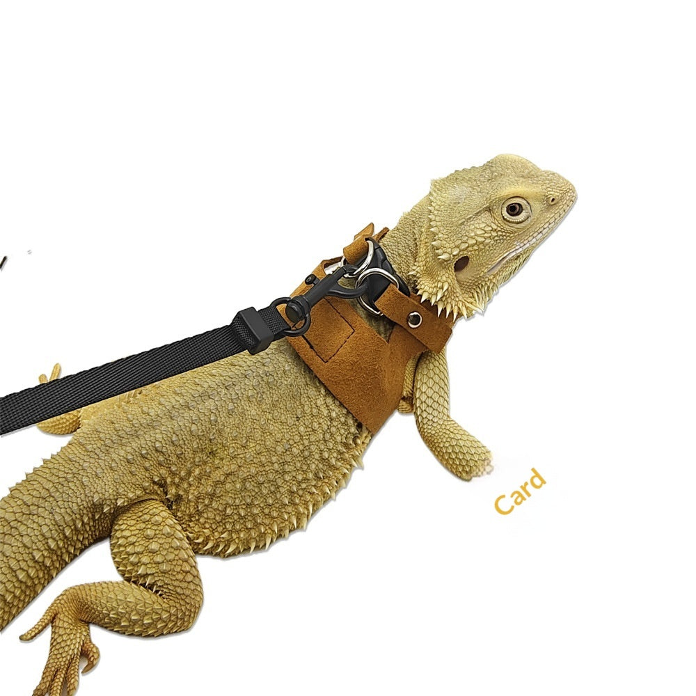Pettorina Premium per Rettili: Trasformalo in un Piccolo Drago! 🐉