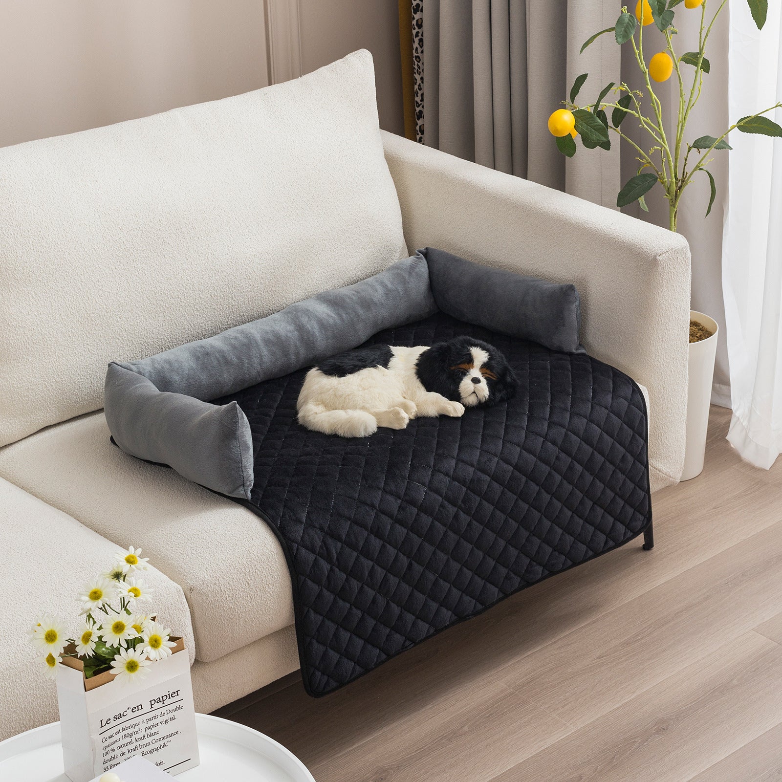 🛋️🛡️ Copri divano , Letto per Cani - Protezione Totale per Mobili e Comfort Extra!