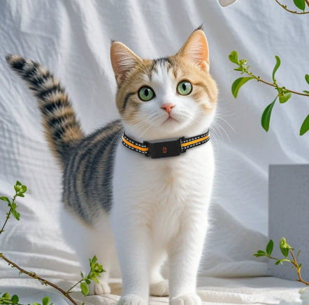 🌍📍 Collare GPS Localizzatore Satellitare per Cani e Gatti - Mai Più Smarriti!