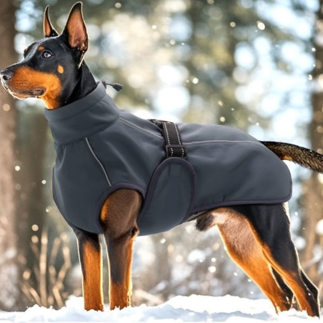 Cappotto "WinterShield" in Morbido Pile: Calore Avvolgente, Libertà di Movimento e Zero Freddo ❄️🐕