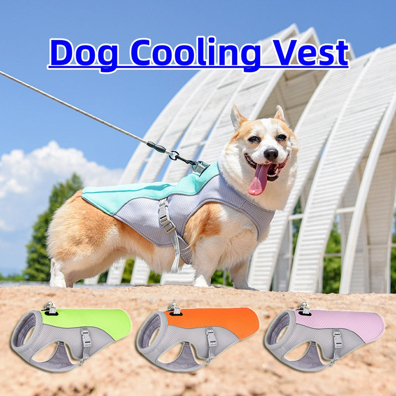 ☀️❄️ Gilet Rinfrescante Estivo per Cani - Passeggiate Fresche e Protette!