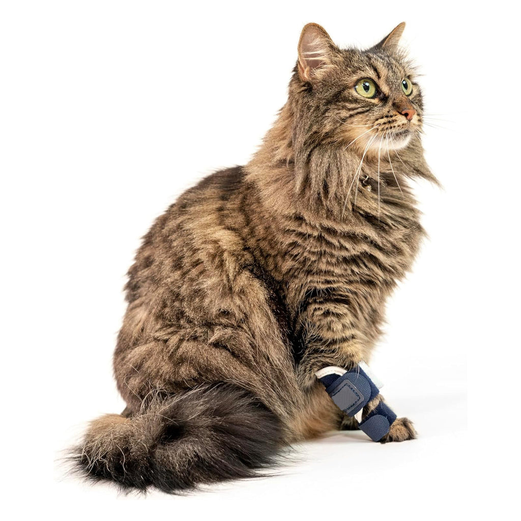 Tutore Ortopedico "PetCare": Supporto Sicuro, Recupero Veloce e Zero Stress 🐾🩹