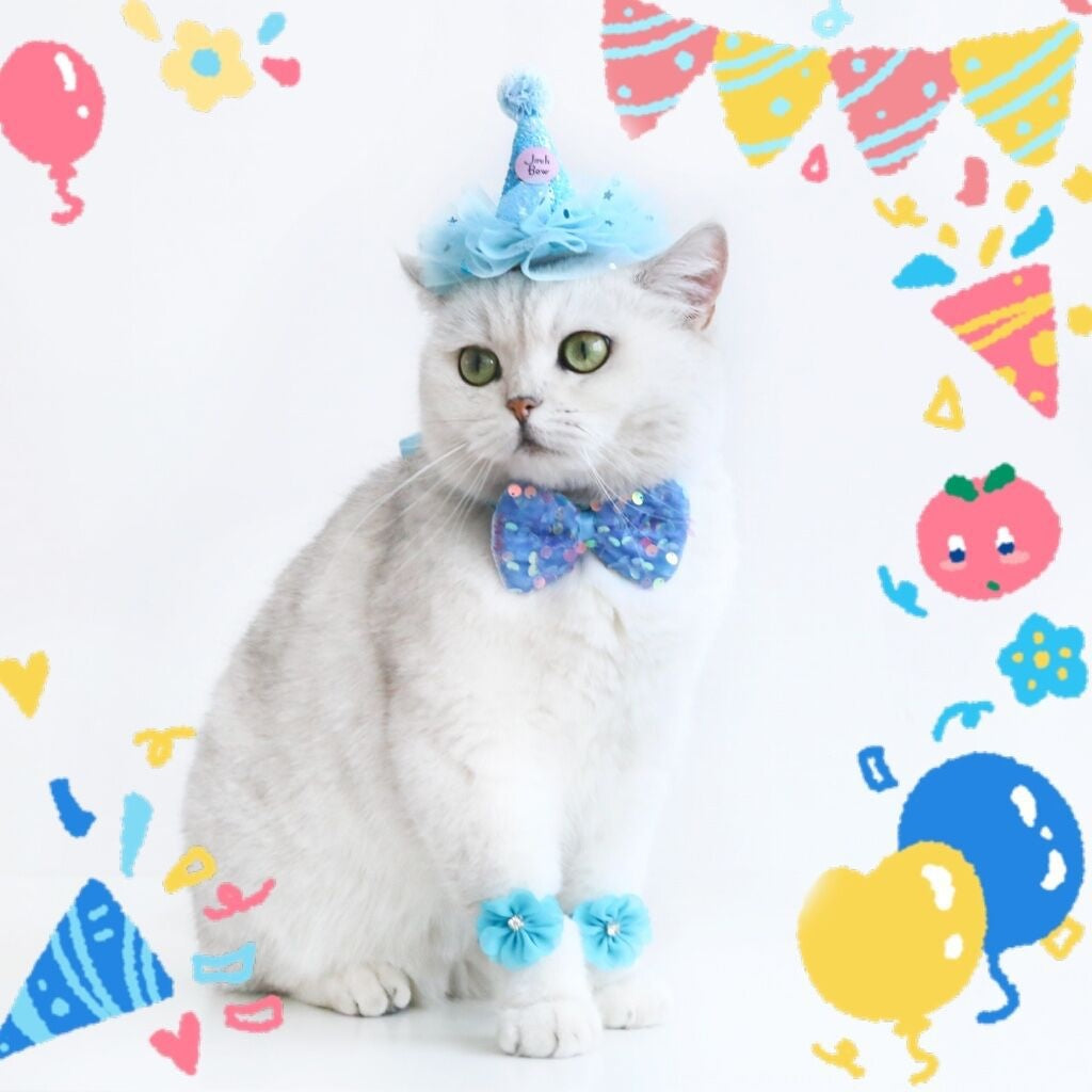 🎂🐾 Set Festa di Compleanno Premium - Cappellino e Papillon Scintillanti!