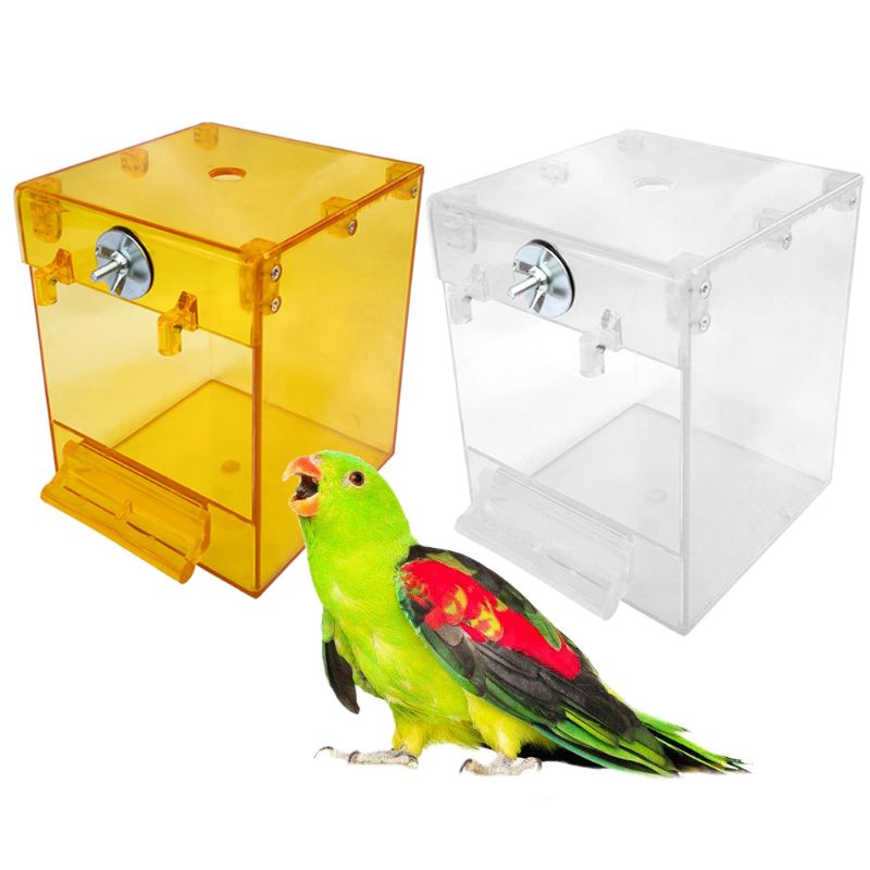 Bagnetto Esterno in Acrilico Premium: Spa Privata, Vista a 360° e Zero Stress 🦜✨