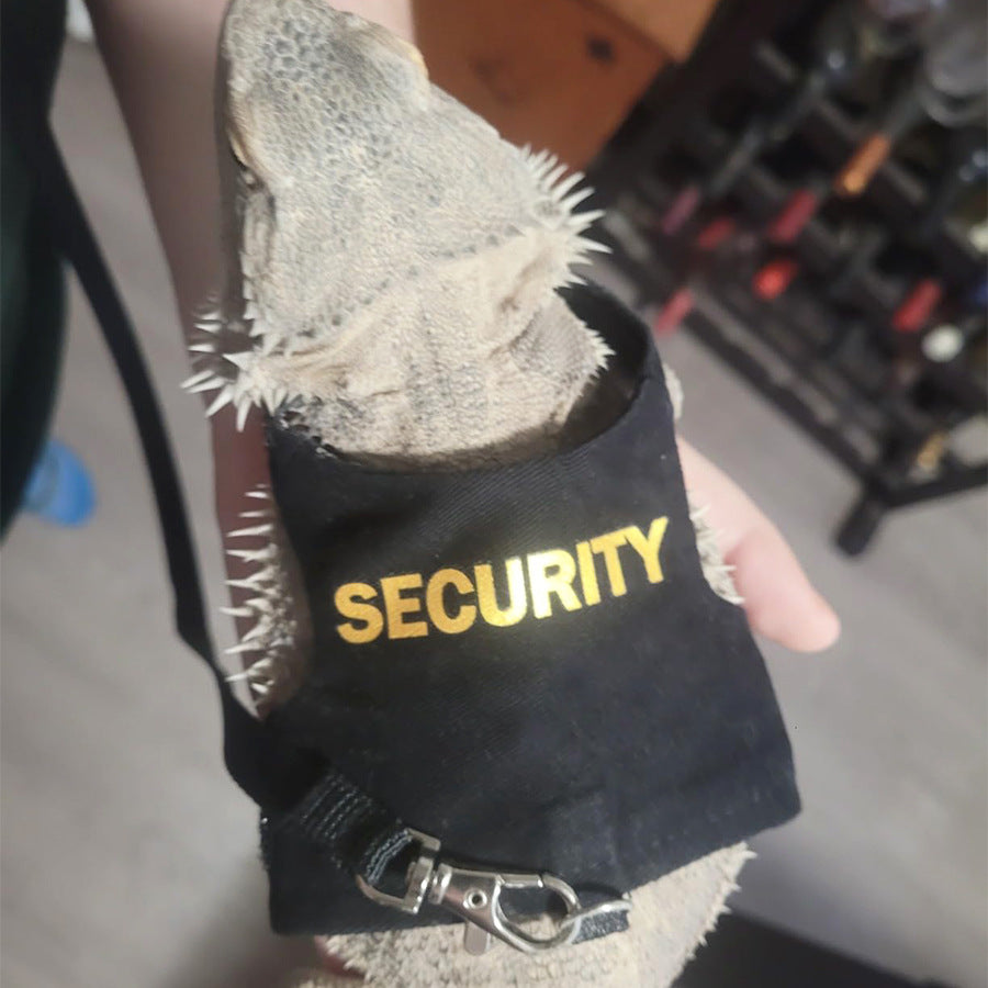 🦎🛡️ Pettorina e Guinzaglio "Security" per Rettili , Lucertole e Draghi Barbuti - Passeggiate Sicure!