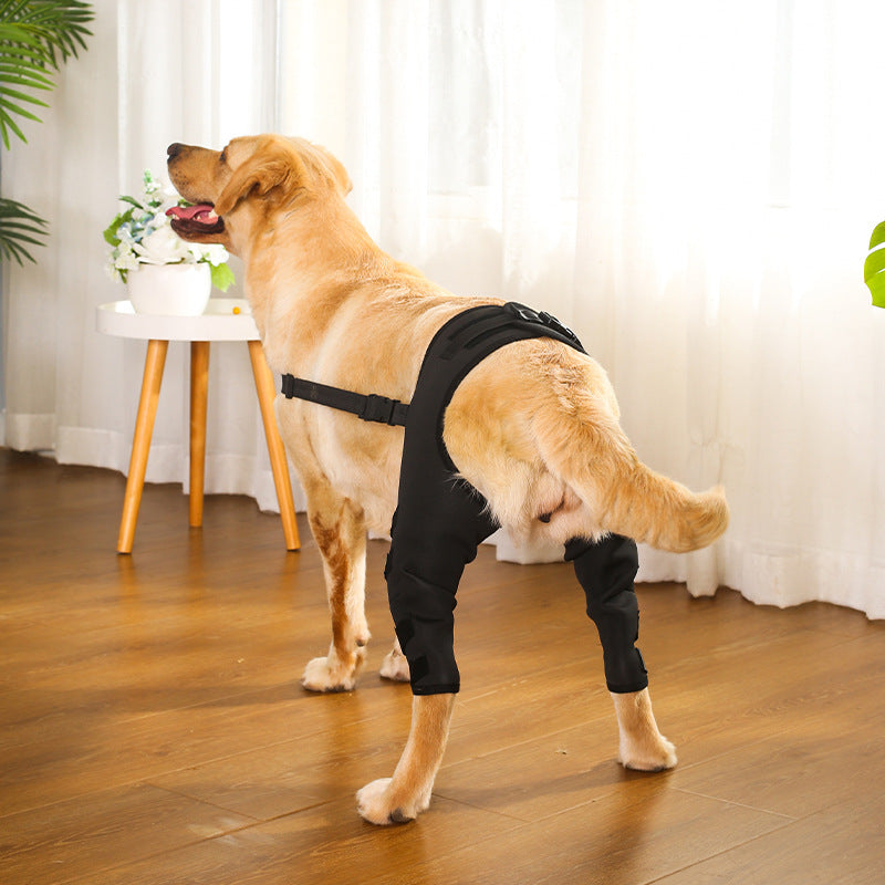 🩺🐾 Tutore Ortopedico di Supporto per Zampe Posteriori del Cane - Stabilità e Sollievo!