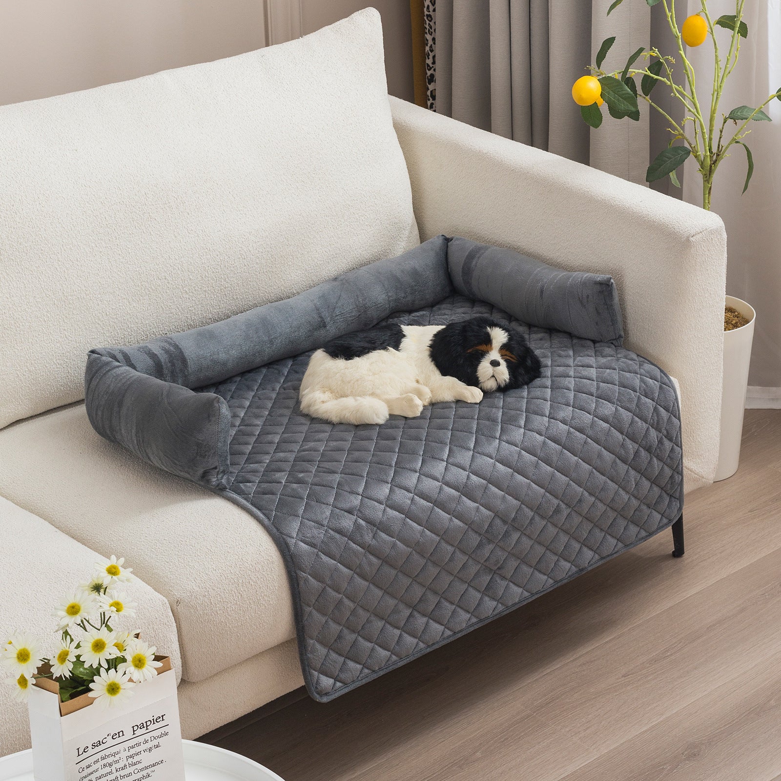 🛋️🛡️ Copri divano , Letto per Cani - Protezione Totale per Mobili e Comfort Extra!