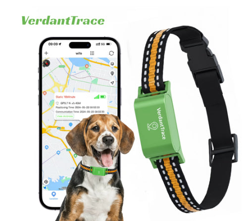 🌍📍 Collare GPS Localizzatore Satellitare per Cani e Gatti - Mai Più Smarriti!
