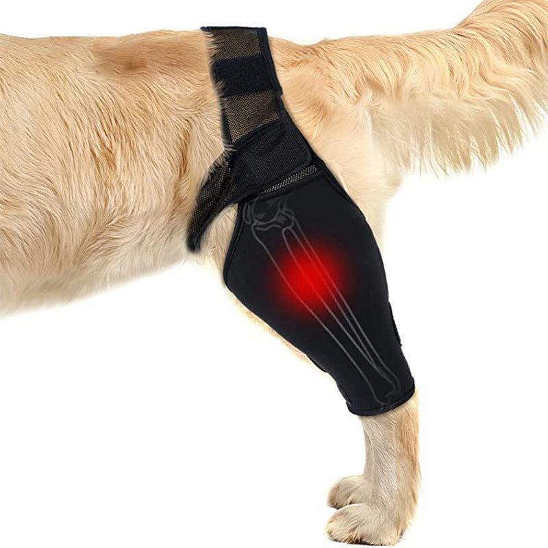 🩺🐾 Tutore Protettivo Ortopedico per Zampa del Cane - Supporto e Recupero Rapido!