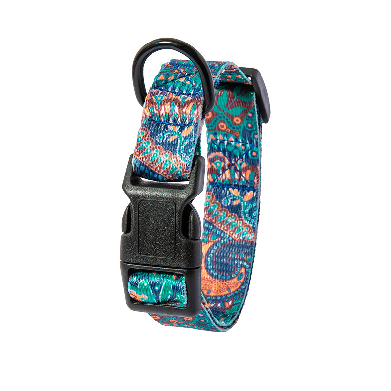 Set Collare e Guinzaglio con Fantasia Etnica: Stile Unico in Passeggiata! 🐕