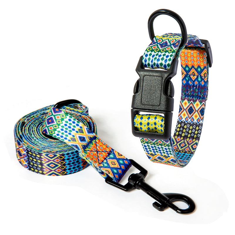 Set Collare e Guinzaglio con Fantasia Etnica: Stile Unico in Passeggiata! 🐕