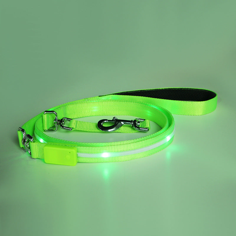 🐶💡 Guinzaglio Luminoso a LED Ricaricabile USB - Passeggiate Serali in Sicurezza!