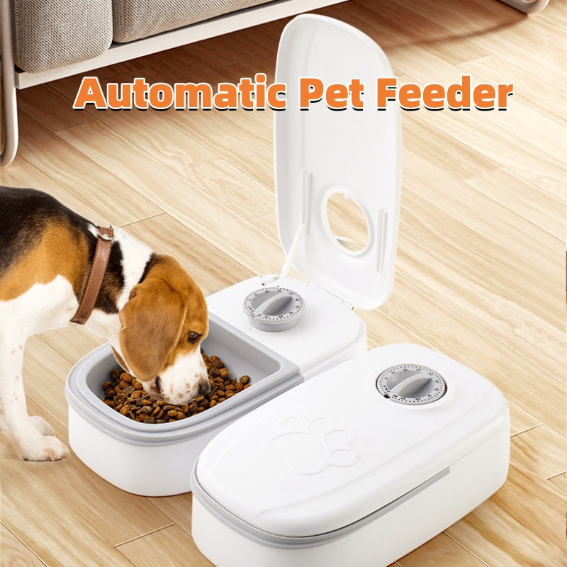 Ciotola Intelligente: Dispenser Automatico di Cibo con Timer
