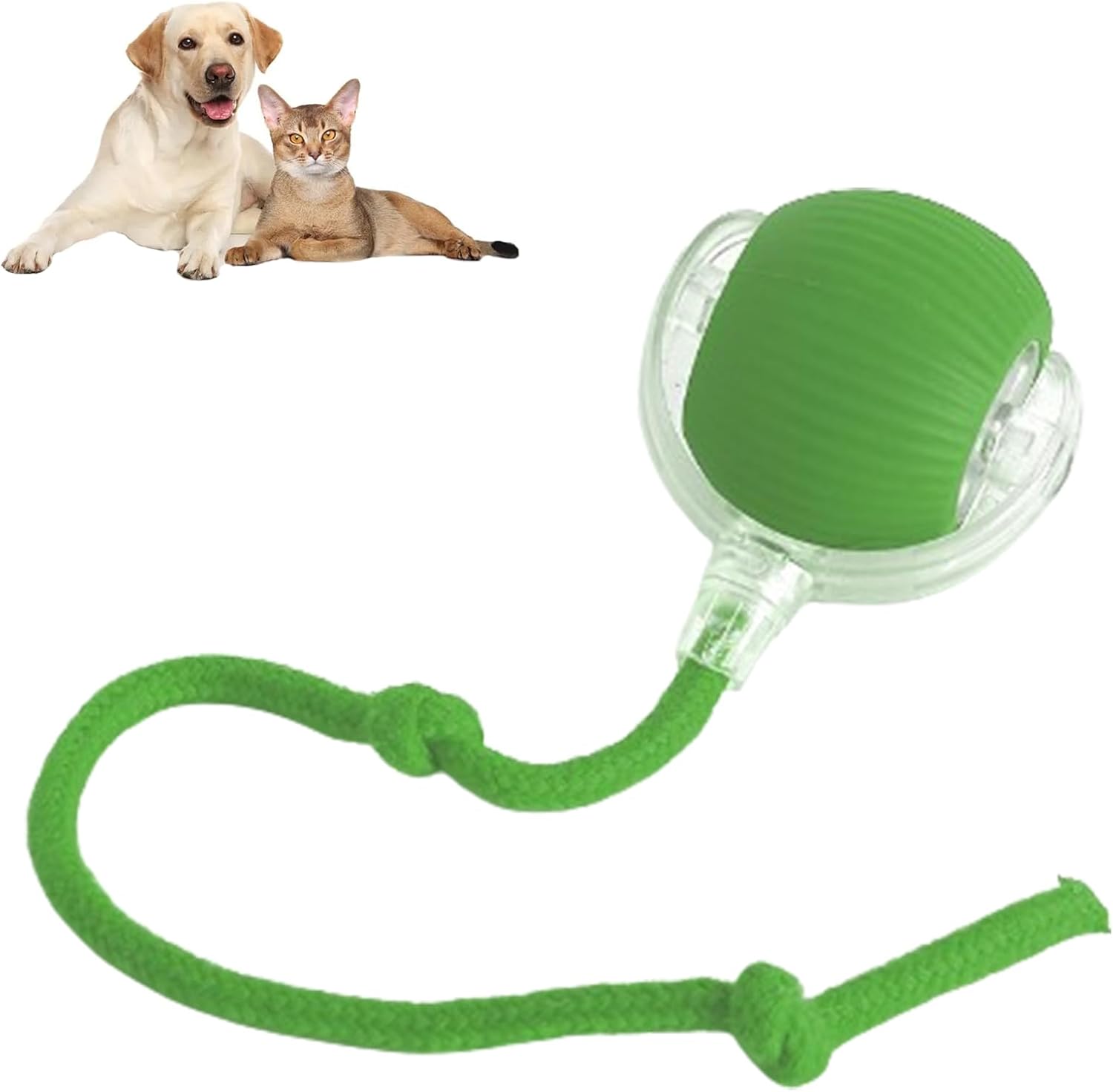 🐶⚽ Pallina Automatica Interattiva con Luce LED e Coda - Caccia al Tesoro Inesauribile!