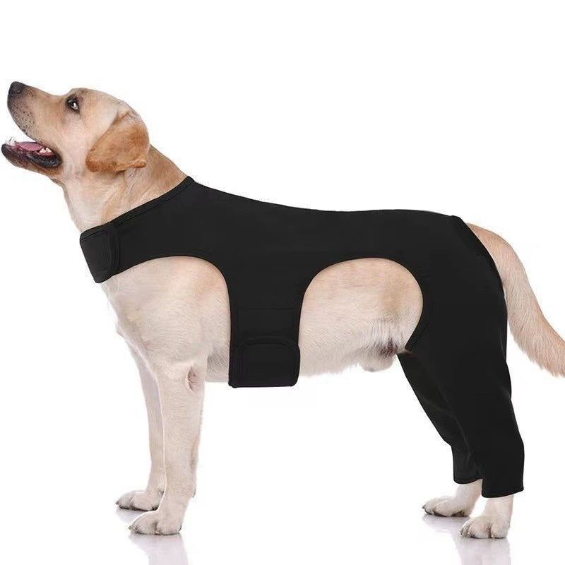 🐕🩹 Tutore Protettivo Doppio per Zampe Posteriori - Comfort Post-Operatorio!