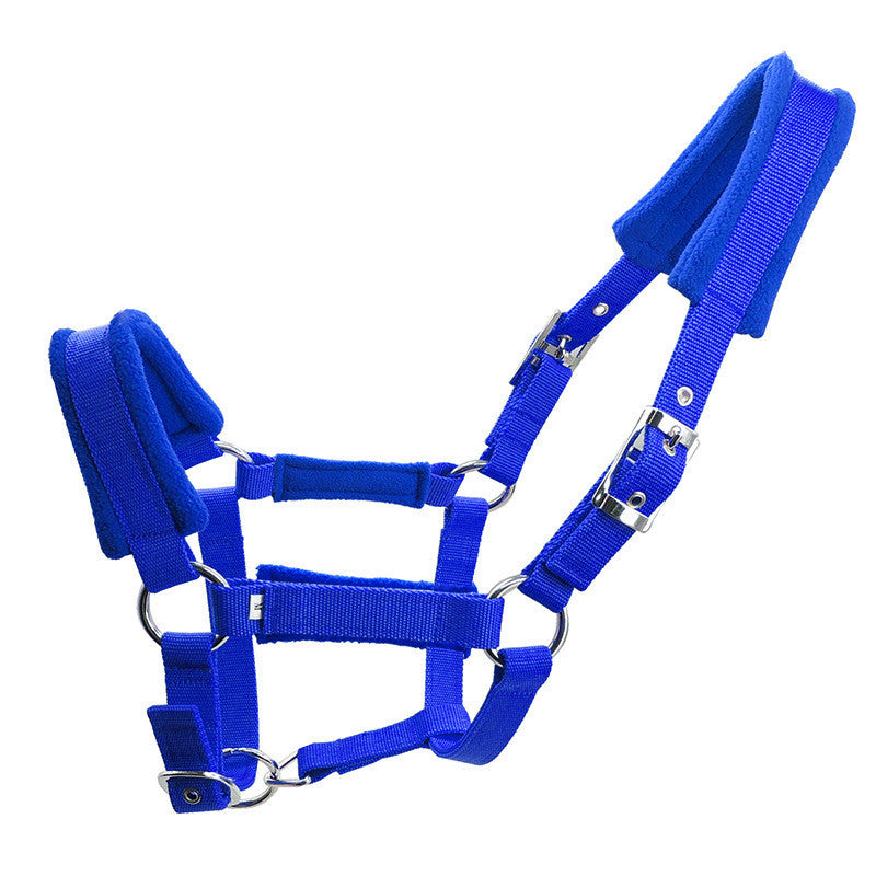Capezza Premium Imbottita: Controllo Sicuro, Morbidezza Estrema e Zero Fiaccature 🐎✨