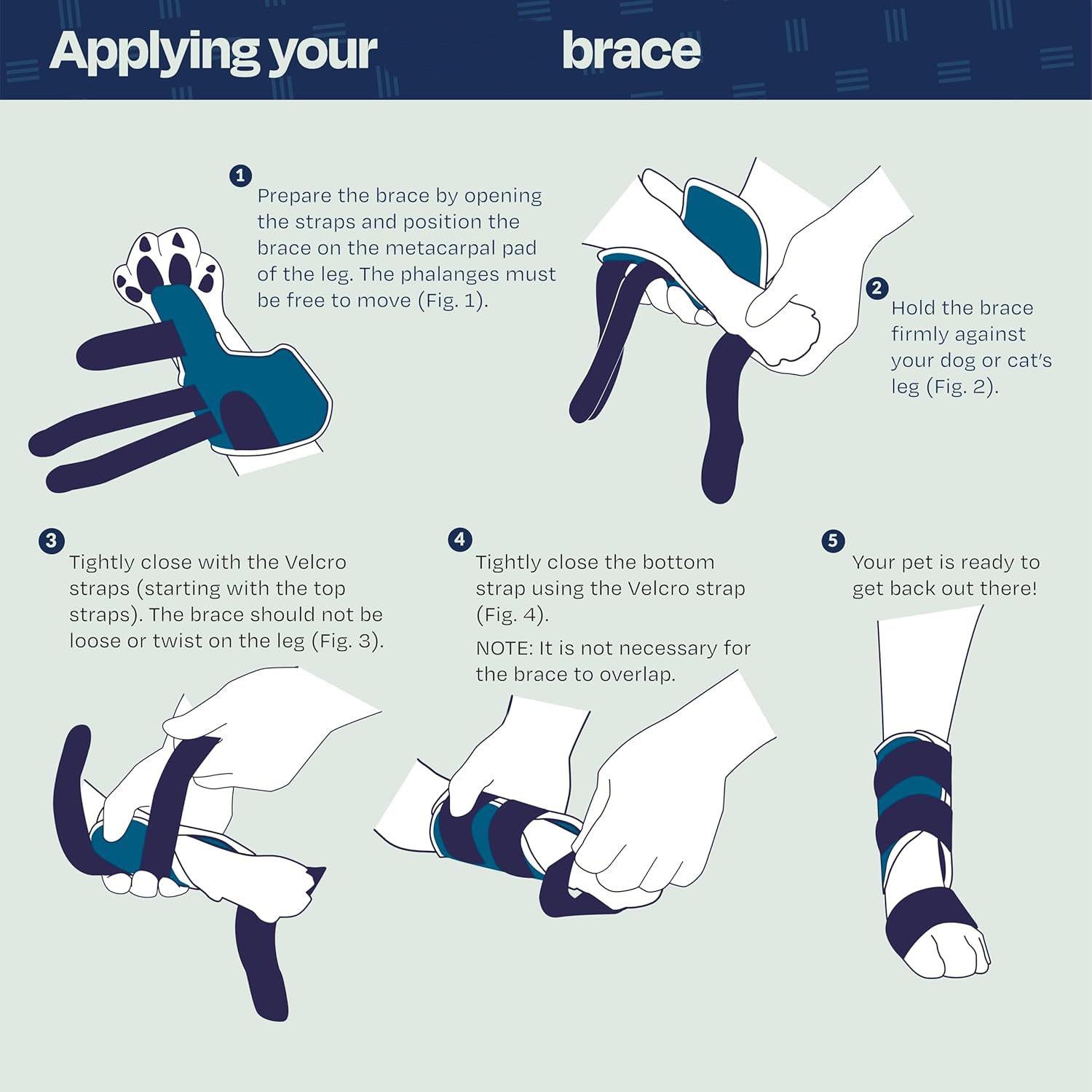 Tutore Ortopedico "PetCare": Supporto Sicuro, Recupero Veloce e Zero Stress 🐾🩹