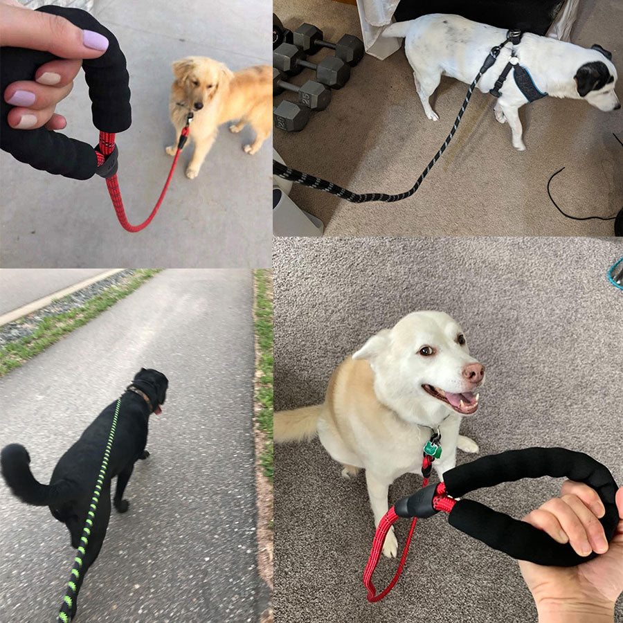 🟢🐾 Guinzaglio Tattico Luminous Alta Visibilità in Corda Spessa - Forza Estrema!