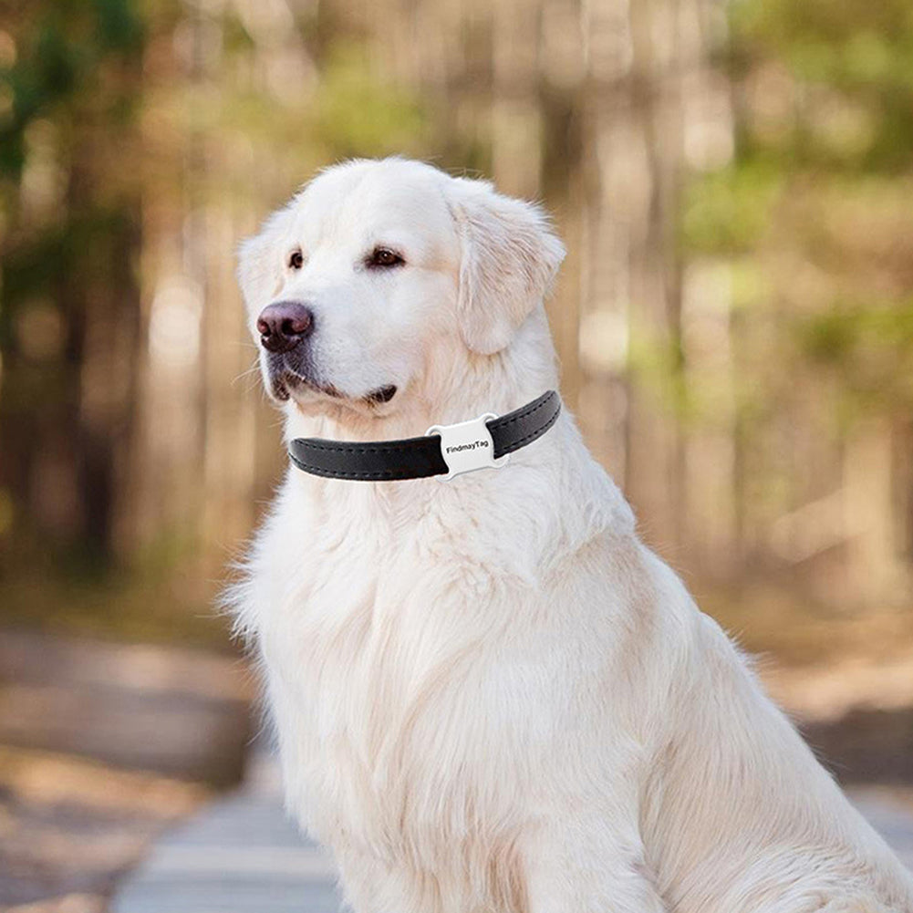 🍏📍 Smart Pet Tracker "Findmay Tag" per Cani e Gatti - Bluetooth - Sicurezza Senza Abbonamenti!