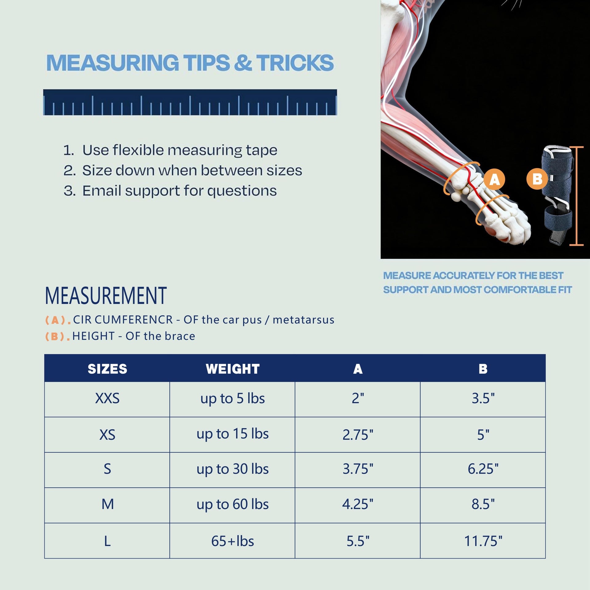 Tutore Ortopedico "PetCare": Supporto Sicuro, Recupero Veloce e Zero Stress 🐾🩹