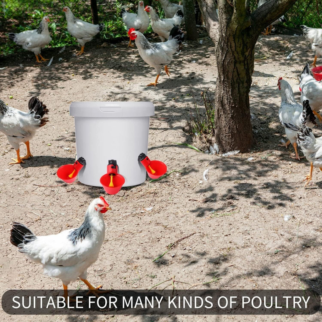 🐔 Abbeveratoio Automatico per Pollame: Acqua Fresca, Zero Sprechi! 🦆