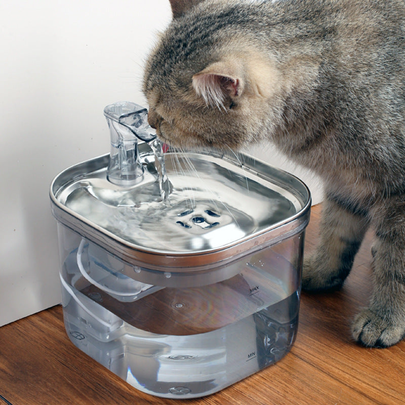 Fontana Automatica in Acciaio Inox: Acqua Sempre Fresca, Idratazione Sicura e Zero Batteri 💧🐈