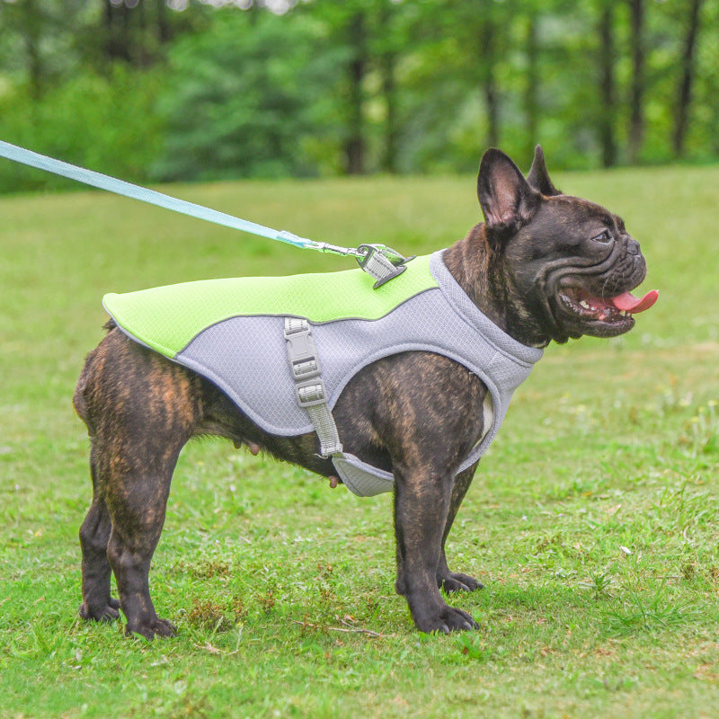 ☀️❄️ Gilet Rinfrescante Estivo per Cani - Passeggiate Fresche e Protette!