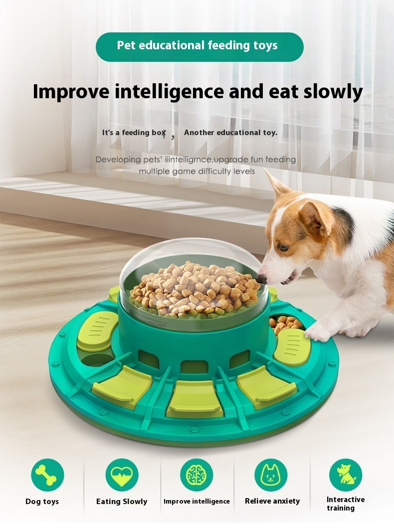 Ciotola Puzzle Interattiva 2 in 1