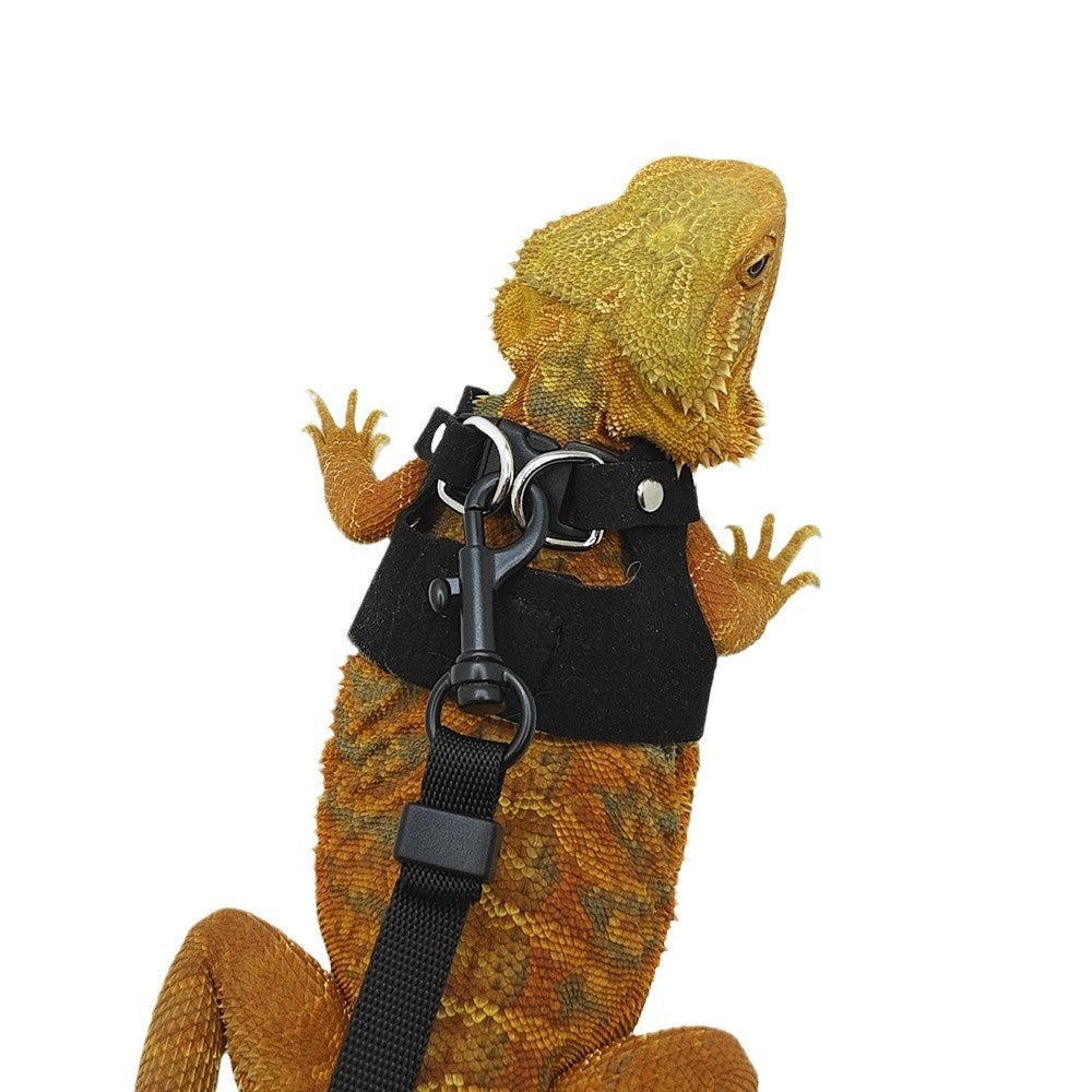 Pettorina Premium per Rettili: Trasformalo in un Piccolo Drago! 🐉