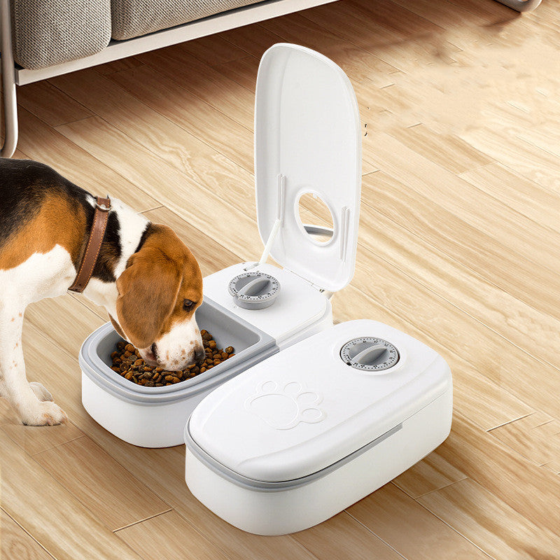 Ciotola Intelligente: Dispenser Automatico di Cibo con Timer