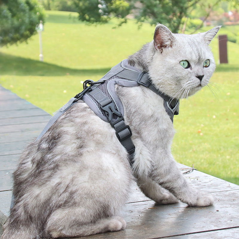 Pettorina Anti-Fuga per Gatti: Esplorazione Sicura, Comfort Leggero e Zero Stress 🐈🛡️