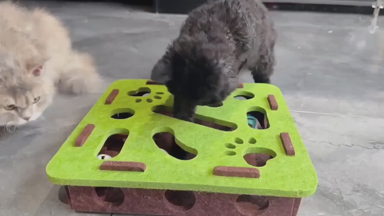 🧩🐈 Puzzle Interattivo in Feltro per Gatti - Labirinto Scaccia-Noia con Pallina Sonante!
