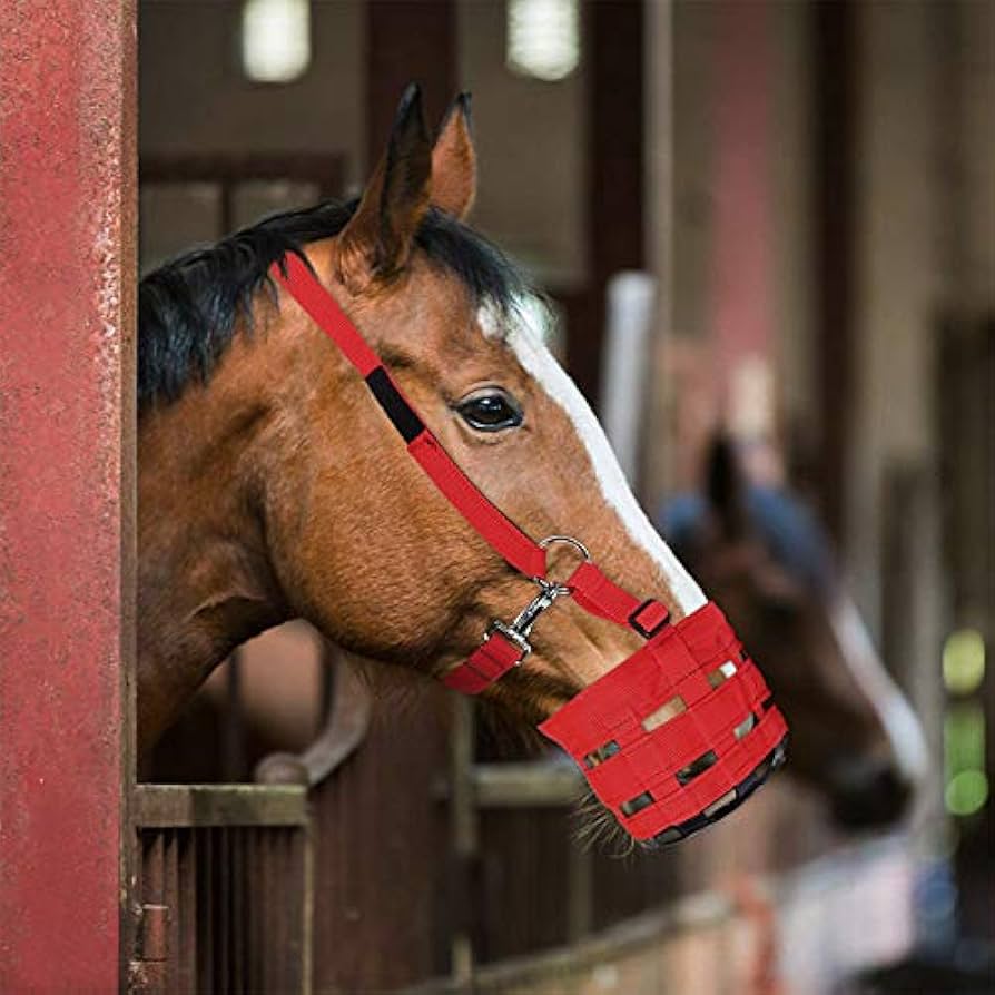 🐴🛡️ Maschera Museruola da Pascolo per Cavalli - Controllo Dietetico e Anti-Morso