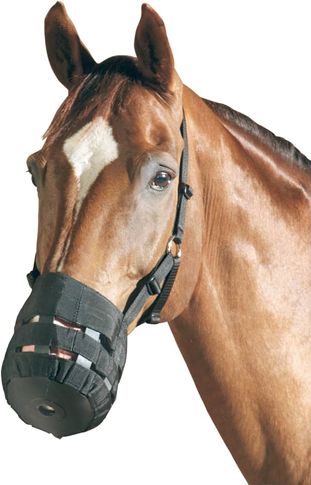 🐴🛡️ Maschera Museruola da Pascolo per Cavalli - Controllo Dietetico e Anti-Morso